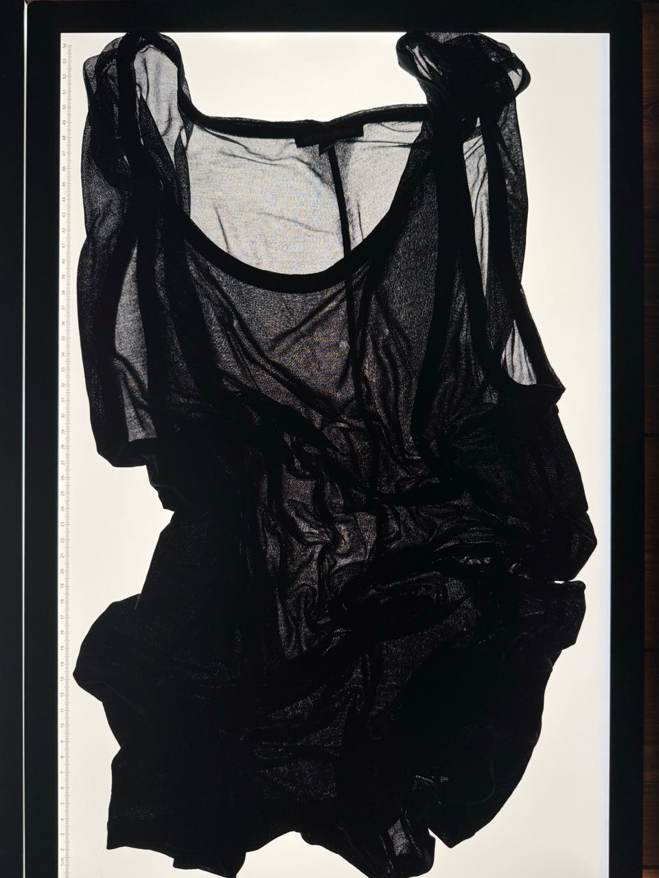 Ann Demeulemeester Sheer Top